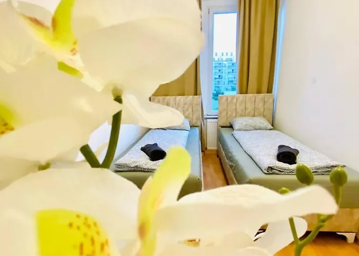 Homestay szállás Comfortable In The 23rd District Of Fr4 *